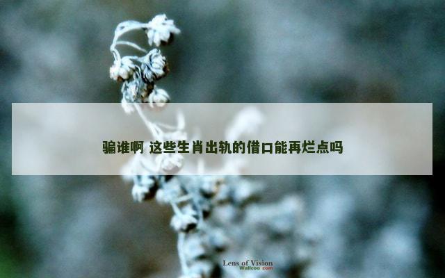 骗谁啊 这些生肖出轨的借口能再烂点吗