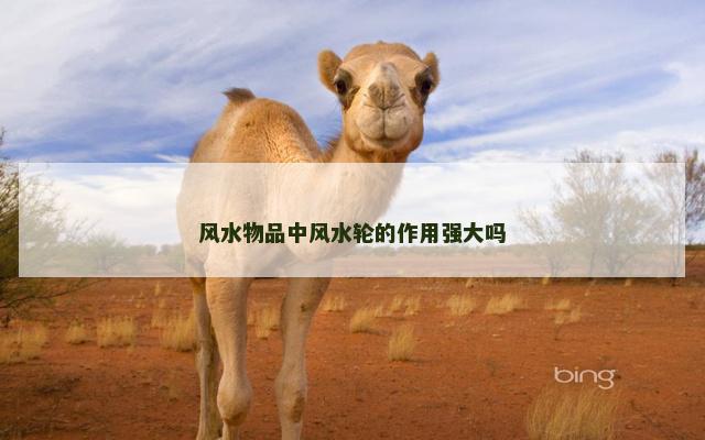 风水物品中风水轮的作用强大吗