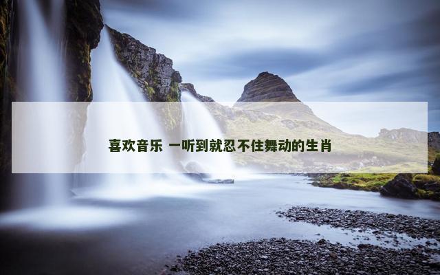 喜欢音乐 一听到就忍不住舞动的生肖