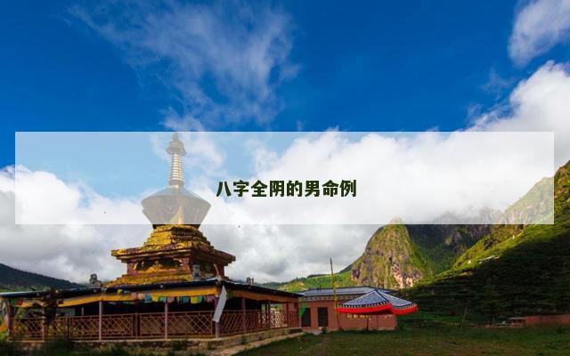 八字全阴的男命例