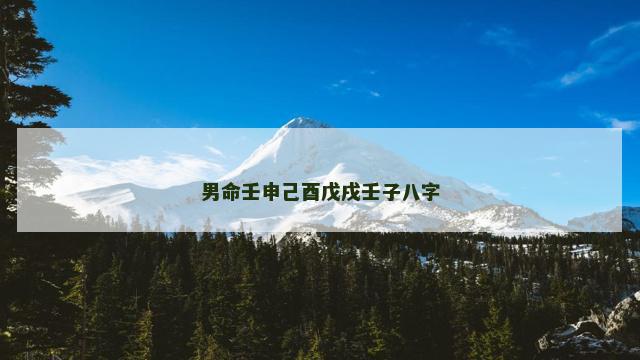 男命壬申己酉戊戌壬子八字