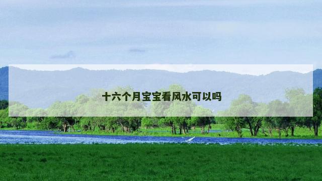 十六个月宝宝看风水可以吗