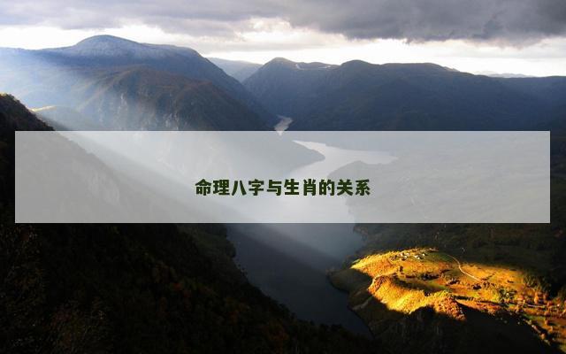 命理八字与生肖的关系 命理八字与生肖的关系