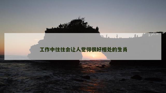 工作中往往会让人觉得很好相处的生肖