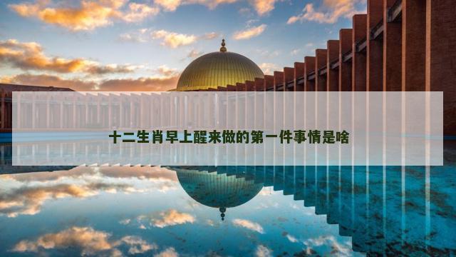 十二生肖早上醒来做的第一件事情是啥