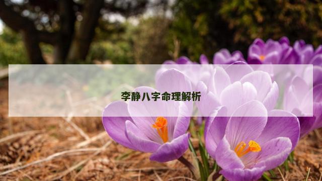 李静八字命理解析