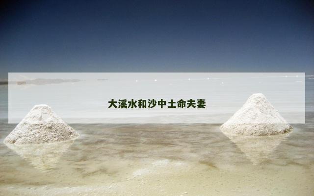 大溪水和沙中土命夫妻