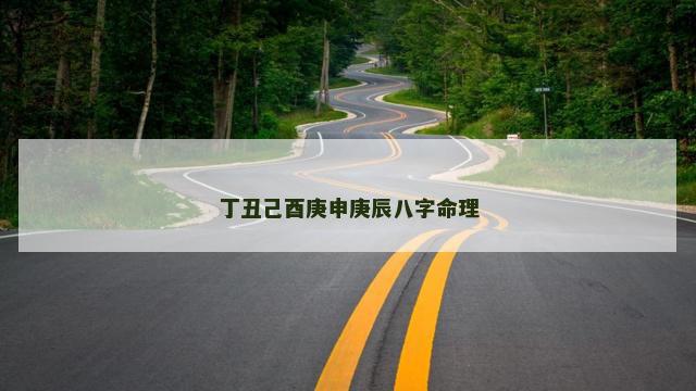 丁丑己酉庚申庚辰八字命理