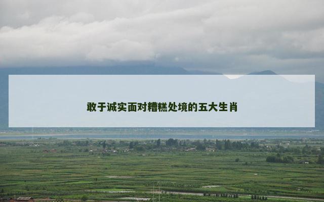 敢于诚实面对糟糕处境的五大生肖