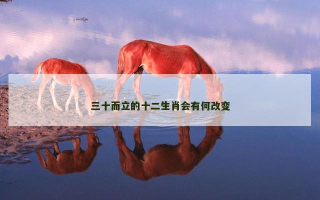 三十而立的十二生肖会有何改变