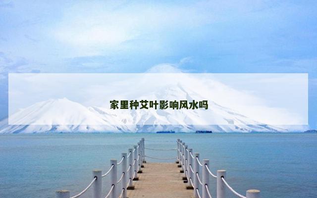 家里种艾叶影响风水吗