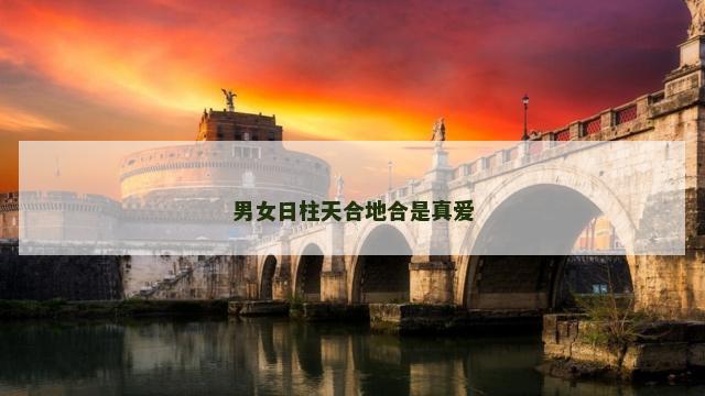 男女日柱天合地合是真爱