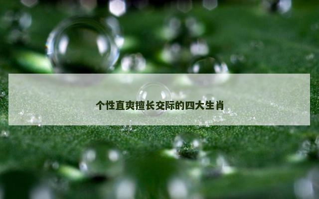 个性直爽擅长交际的四大生肖