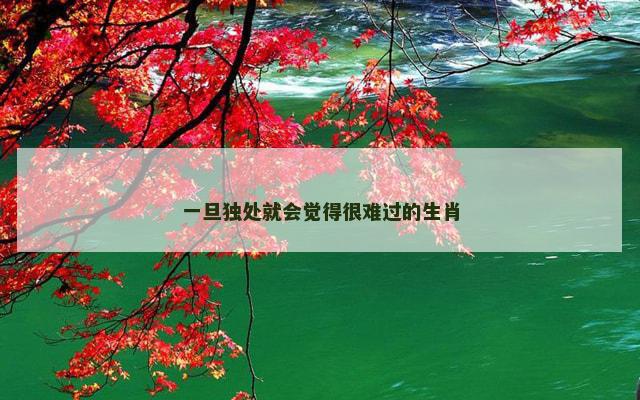 一旦独处就会觉得很难过的生肖