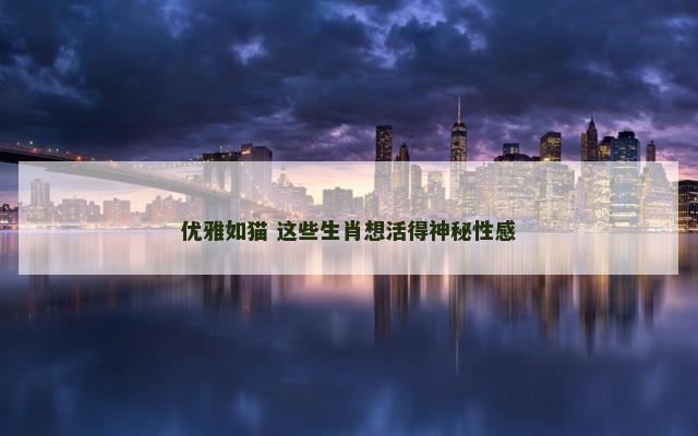 优雅如猫 这些生肖想活得神秘性感