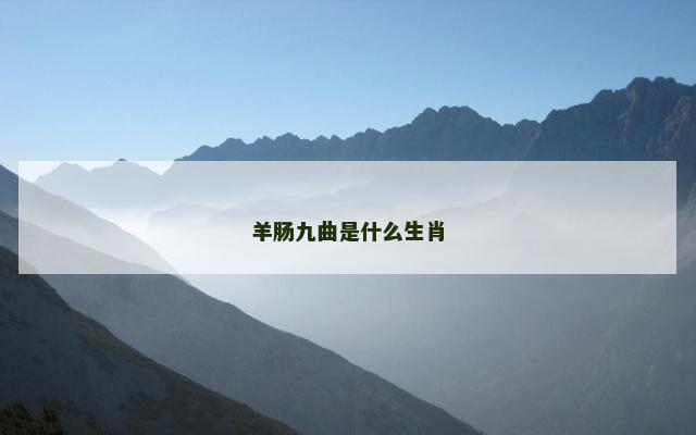 羊肠九曲是什么生肖