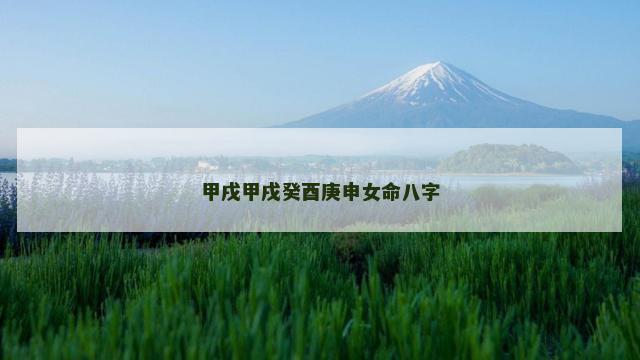 甲戌甲戌癸酉庚申女命八字