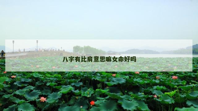八字有比肩意思嘛女命好吗