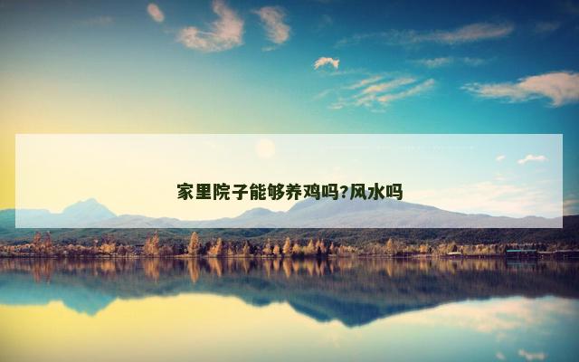 家里院子能够养鸡吗?风水吗