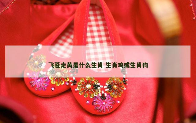 飞苍走黄是什么生肖 生肖鸡或生肖狗