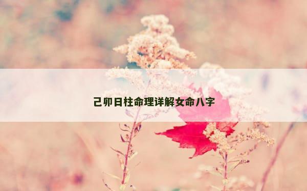 己卯日柱命理详解女命八字