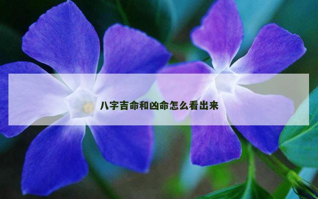 八字吉命和凶命怎么看出来