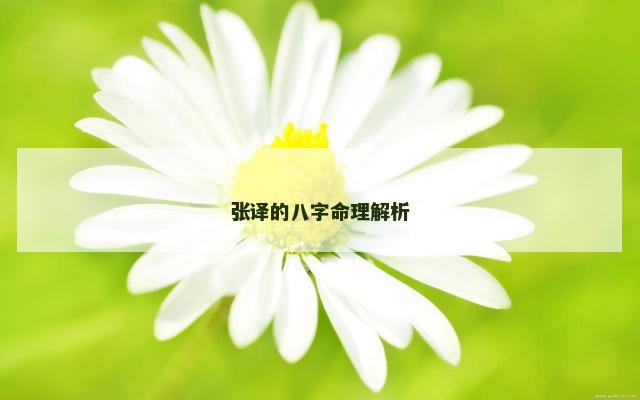 张译的八字命理解析