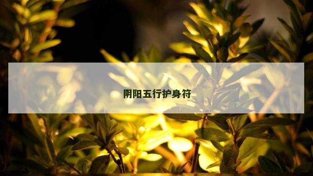 阴阳五行护身符