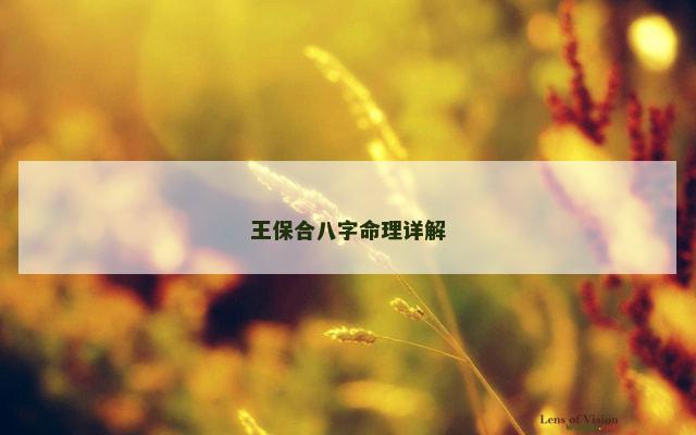 王保合八字命理详解