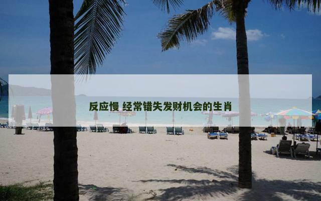 反应慢 经常错失发财机会的生肖