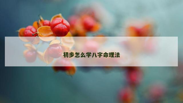 初步怎么学八字命理法 初步怎么学八字命理法