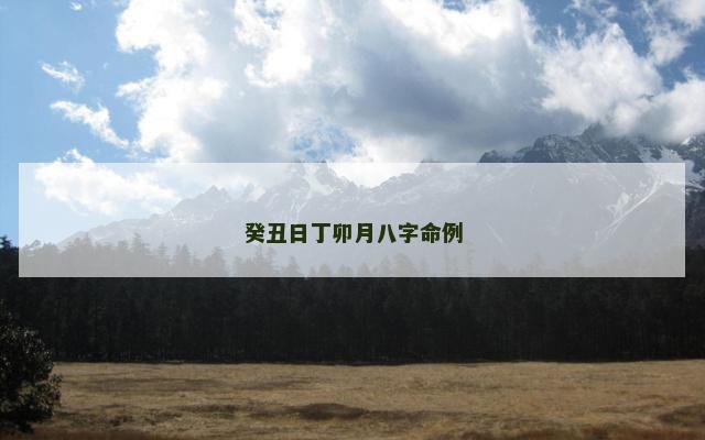 癸丑日丁卯月八字命例 癸丑日丁卯月八字命例