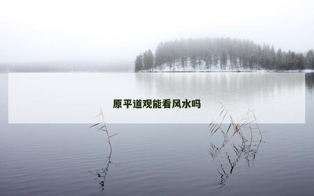 原平道观能看风水吗