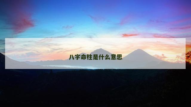 八字命柱是什么意思