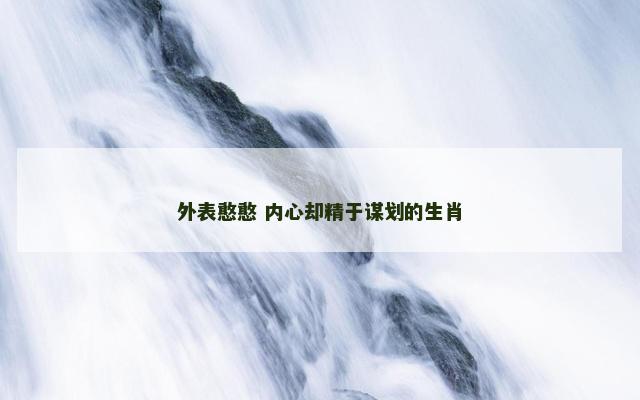 外表憨憨 内心却精于谋划的生肖