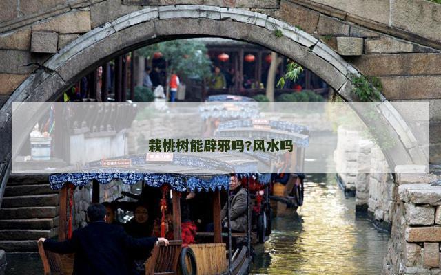 栽桃树能辟邪吗?风水吗
