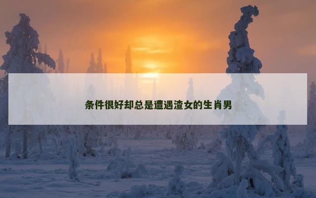 条件很好却总是遭遇渣女的生肖男
