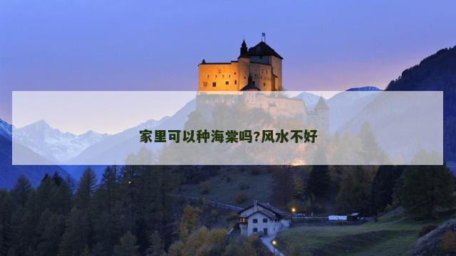 家里可以种海棠吗?风水不好