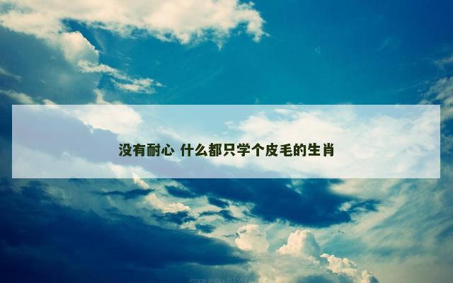 没有耐心 什么都只学个皮毛的生肖