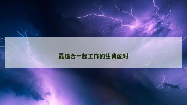 最适合一起工作的生肖配对