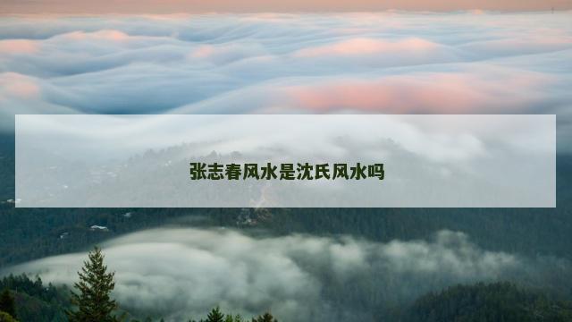 张志春风水是沈氏风水吗