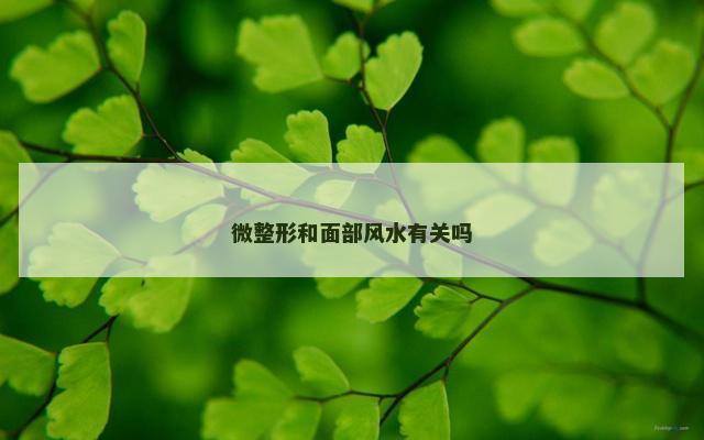 微整形和面部风水有关吗