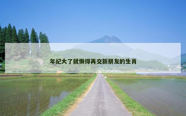 年纪大了就懒得再交新朋友的生肖