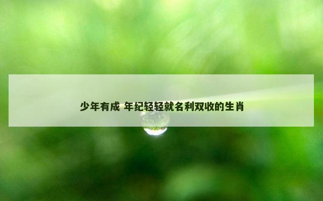 少年有成 年纪轻轻就名利双收的生肖