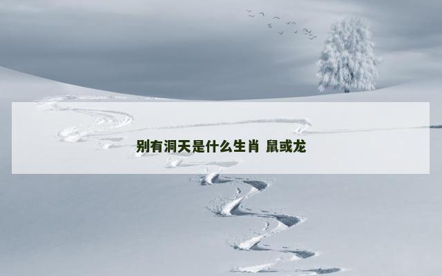 别有洞天是什么生肖 鼠或龙