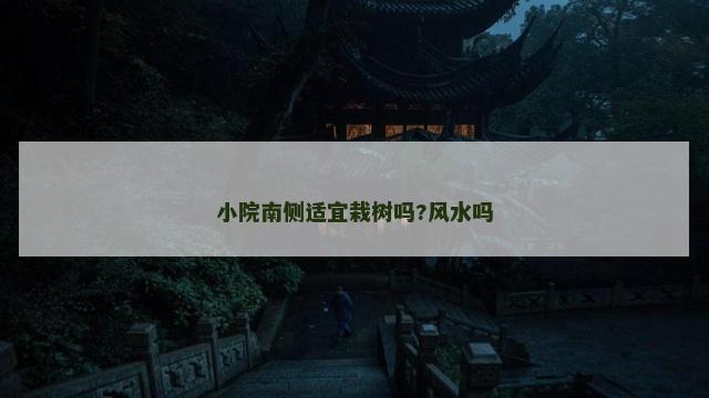 小院南侧适宜栽树吗?风水吗