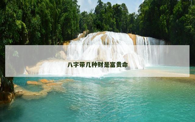 八字带几种财是富贵命