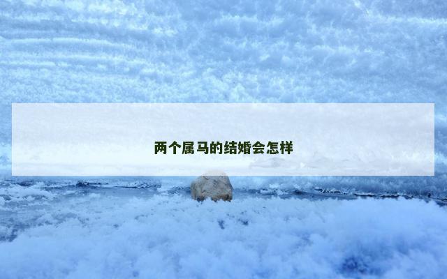 两个属马的结婚会怎样