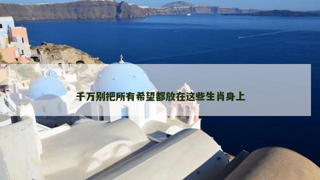 千万别把所有希望都放在这些生肖身上