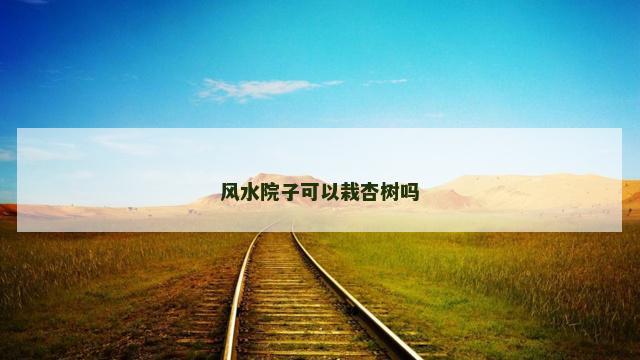 风水院子可以栽杏树吗